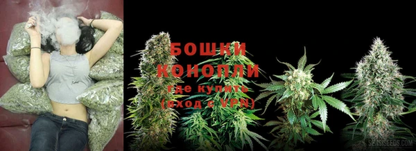 Альфа ПВП Горно-Алтайск